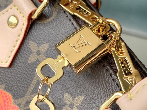 Louis Vuitton Speedy BANDOULIÈRE 20 Handbag - Image 8