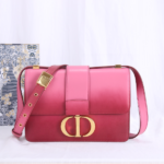 Dior Montaigne Gradient Color Bag - Pink