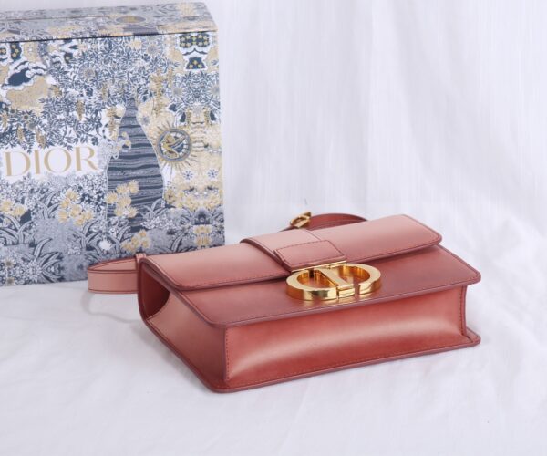 Dior Montaigne Gradient Color Bag - Brown - Image 2
