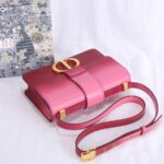 Dior Montaigne Gradient Color Bag - Pink - Image 4
