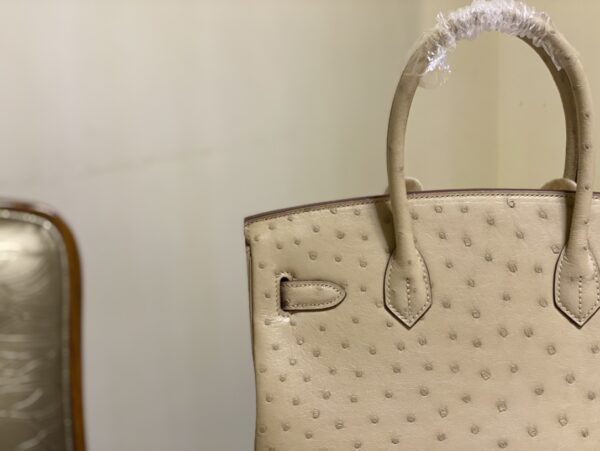 Hermes Ostrich Skin Hand Bag - Skin - Image 3