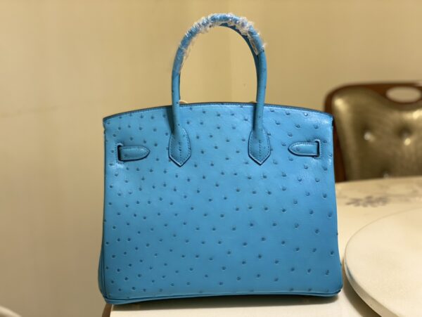 Hermes Ostrich Skin Hand Bag - Blue - Image 4