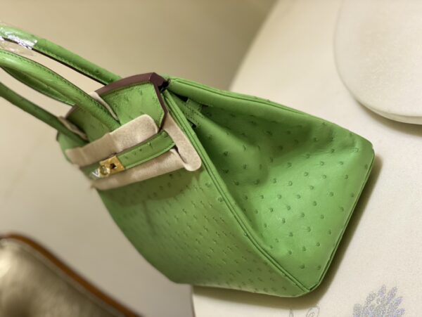 Hermes Ostrich Skin Hand Bag - Green - Image 4
