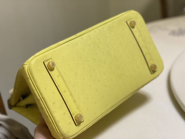 Hermes Ostrich Skin Hand Bag - Yellow - Image 2